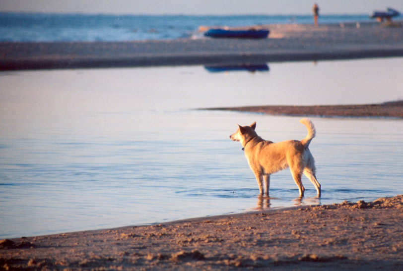 Photography by brendaisbored for DesignCrowd (Community Contests) | Design #9007585