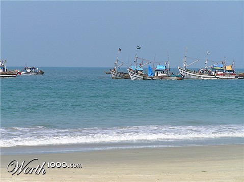 Photography by santoshnc