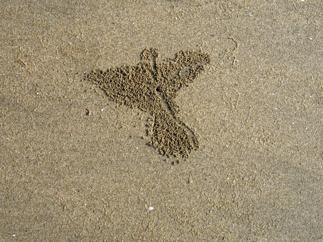 Photography by vipez for DesignCrowd (Community Contests) | Design #9007562