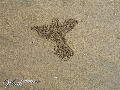 Photography by vipez