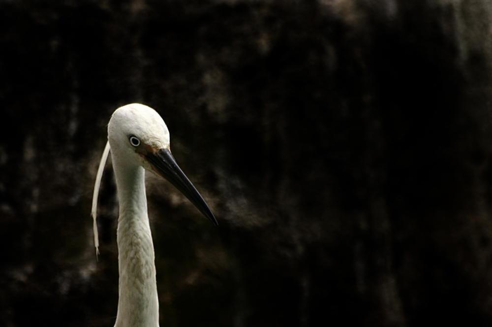 Photography by DoubleDizzle for DesignCrowd (Community Contests) | Design #9006252