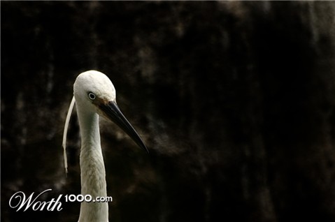 Photography by DoubleDizzle