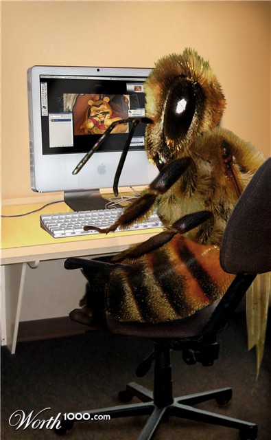 Photoshop Design by shnitzel