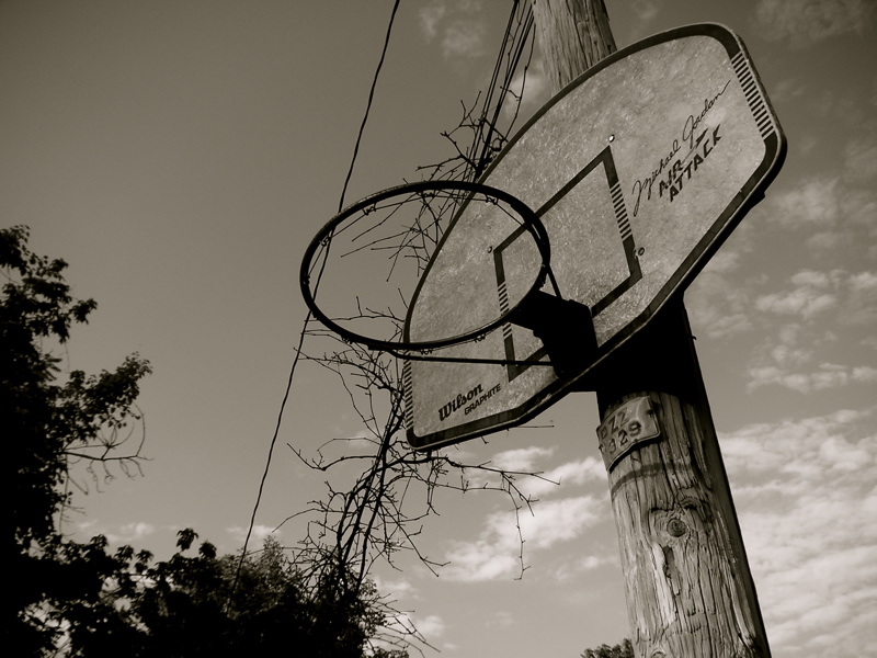 Photography by 10000trees for DesignCrowd (Community Contests) | Design #9013819