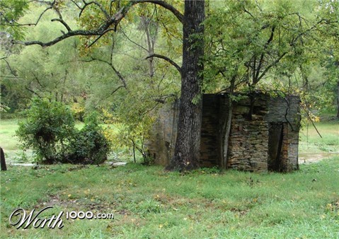 Photography by Penycat