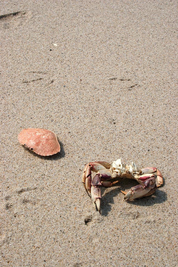 Photographie par Exaspera pour DesignCrowd (Community Contests) | Design #9007573