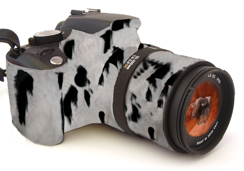 Photoshop Design by mibj2000 for DesignCrowd (Community Contests) | Design #9010714