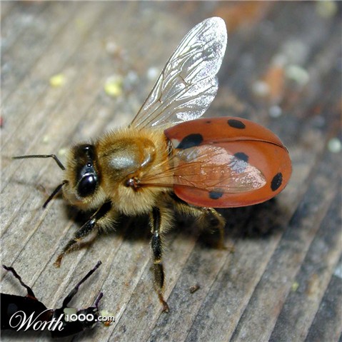 Photoshop Design by underworth