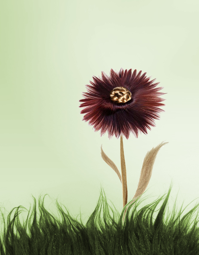Photoshop Design by mastatray for DesignCrowd (Community Contests) | Design #9010694