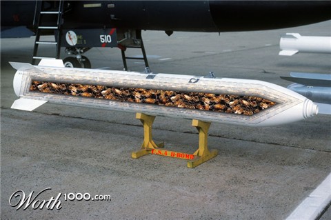 Photoshop Design by crazyridersammy