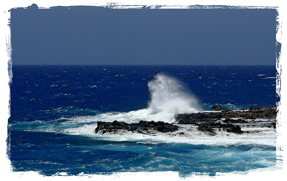 Fotografie von bobblainey für DesignCrowd (Community Contests) | Design #9003730