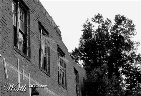 Photography by Feature