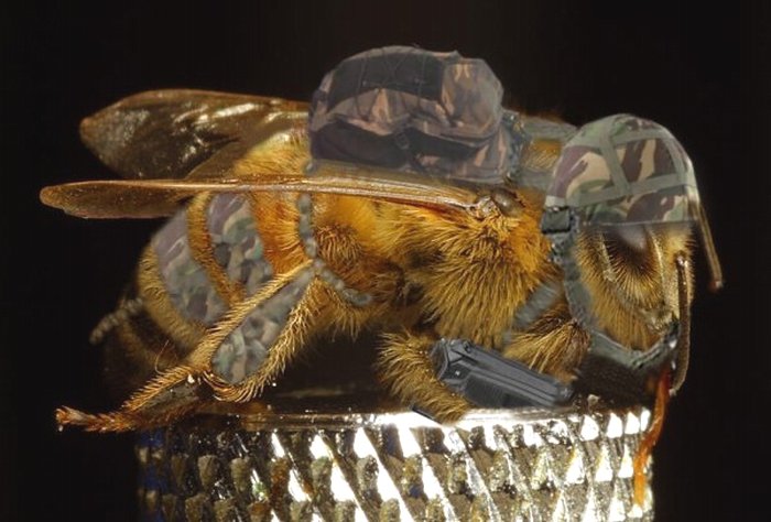 Diseño de Photoshop por LadyHawk771 para DesignCrowd (Community Contests) | Diseño #9005204