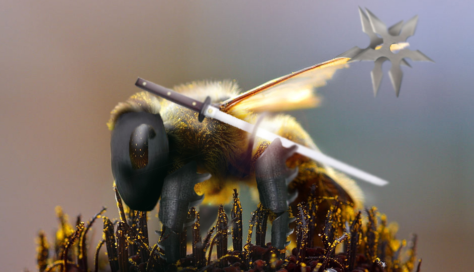 Photoshop Design by thefear for DesignCrowd (Community Contests) | Design #9005253