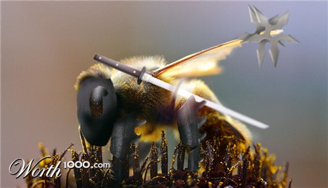 Photoshop Design by thefear