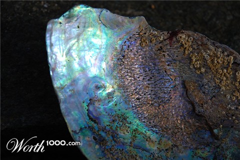 Photography by nzkiwi