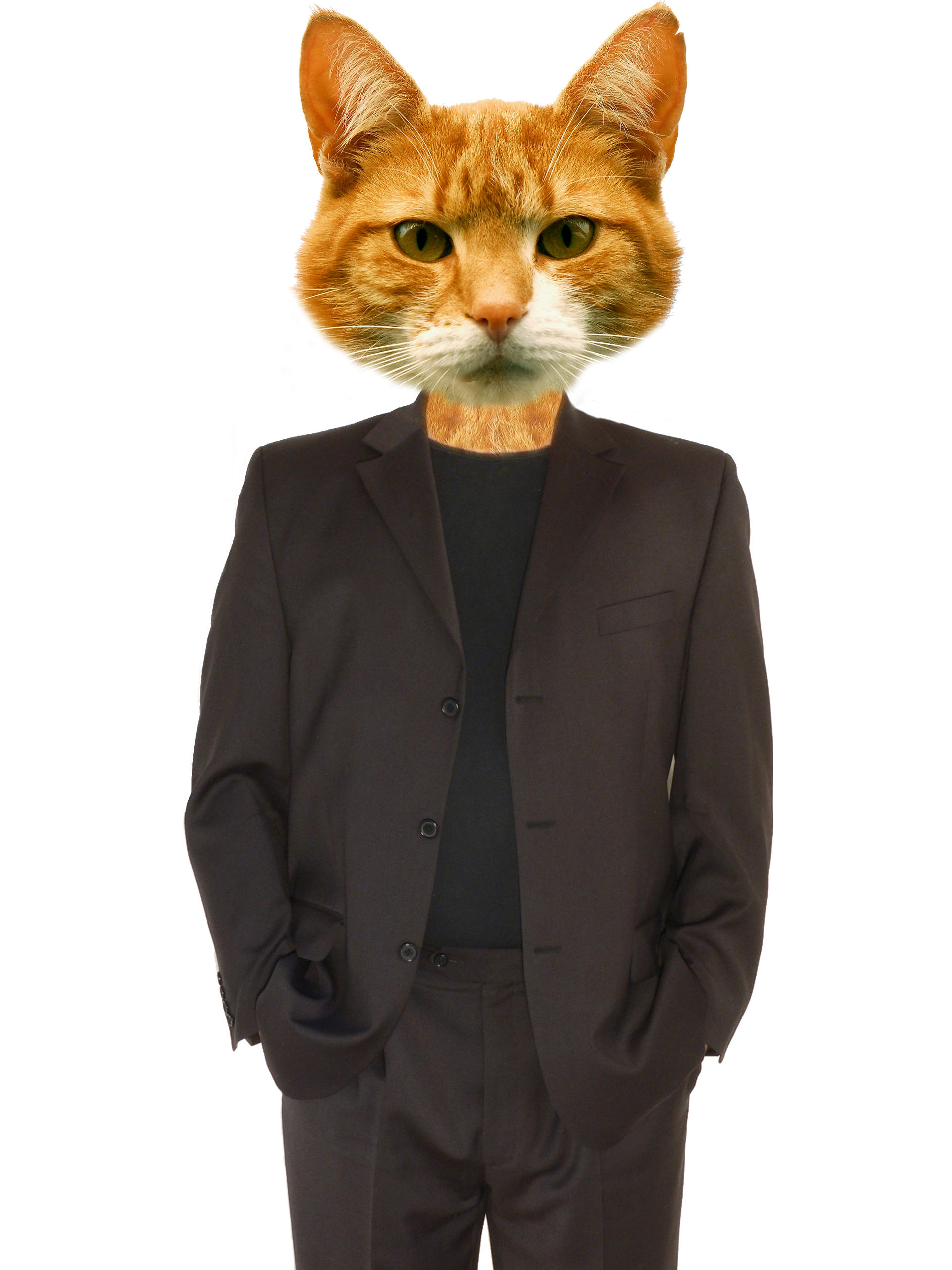 Design Photoshop par sherylphotomagic pour DesignCrowd (Community Contests) | Design #9004852