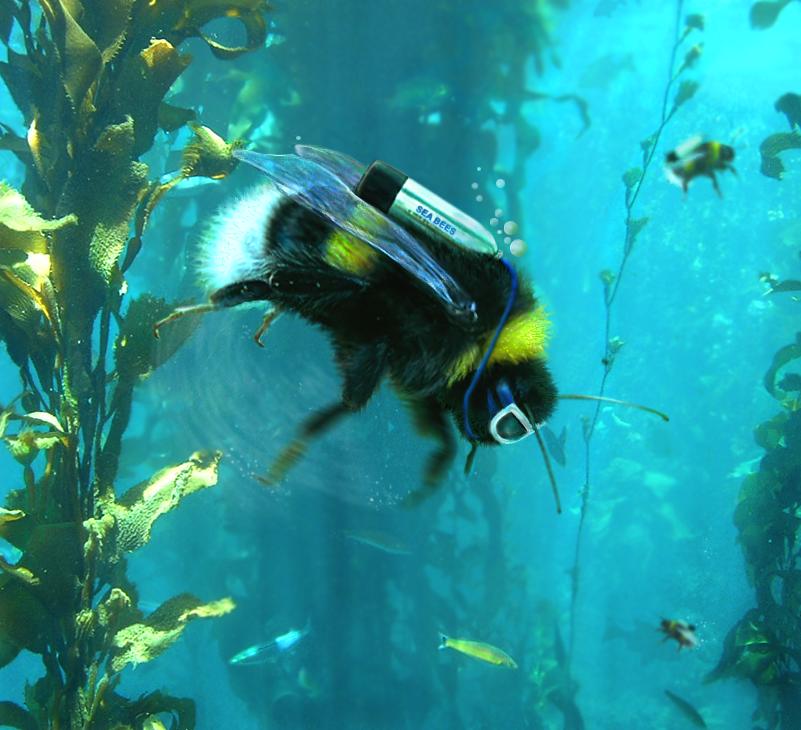 Photoshop Design by sugarcane for DesignCrowd (Community Contests) | Design #9005231