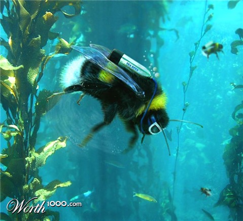 Photoshop Design by sugarcane