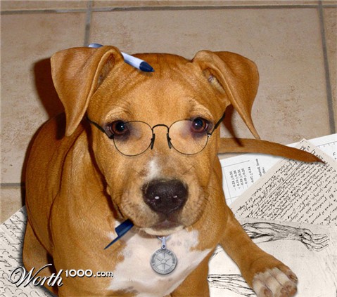 Photoshop Design by Pigia1975