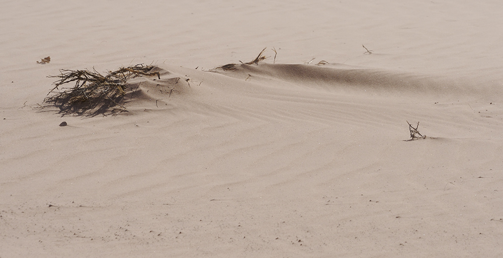 Photographie par drdonallen pour DesignCrowd (Community Contests) | Design #9007682