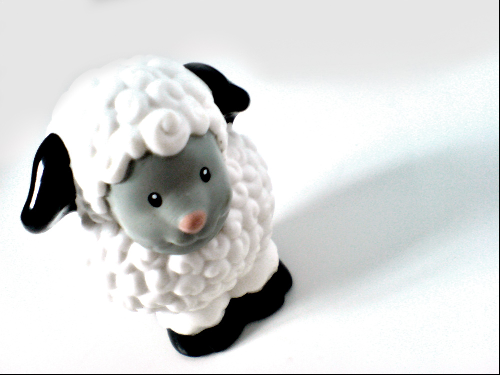 Fotografie von Flimzer für DesignCrowd (Community Contests) | Design #9006326