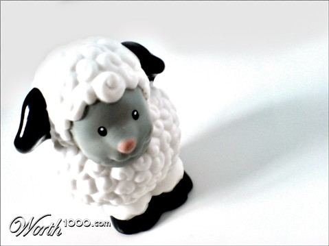 Photography by Flimzer