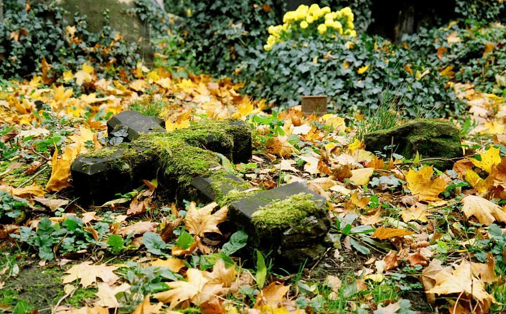 Fotografie von AnnaDK für DesignCrowd (Community Contests) | Design #9013832