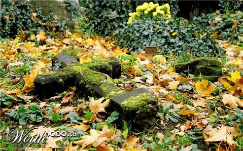 Photography by AnnaDK