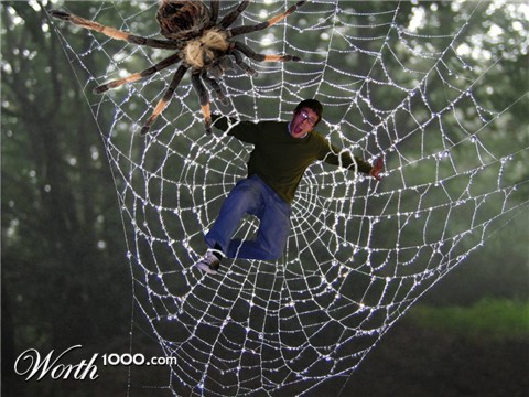 Photoshop Design by Palami