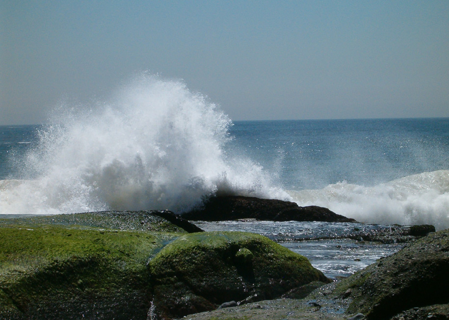 Photography by Ivor121 for DesignCrowd (Community Contests) | Design #9003796