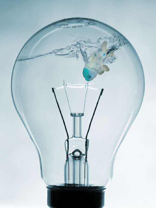 Photoshop Design by samfisher for DesignCrowd (Community Contests) | Design #9011521