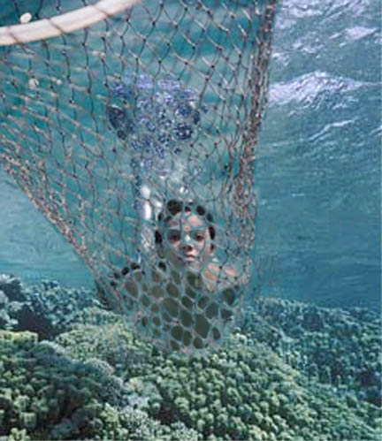 Photoshop Design by PeterAAAWelch for DesignCrowd (Community Contests) | Design #9011534