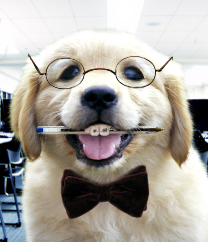 Diseño de Photoshop por nealrjp para DesignCrowd (Community Contests) | Diseño #9004900