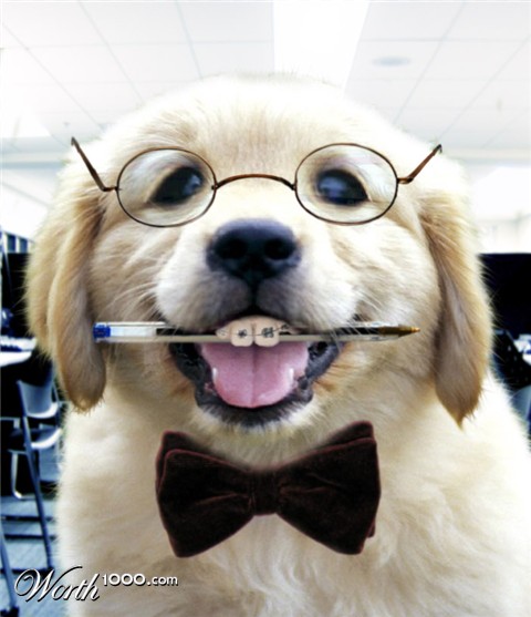 Photoshop Design by nealrjp