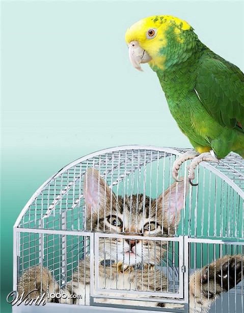 Photoshop Design by JClark8220