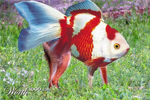 Photoshop Design by JClark8220