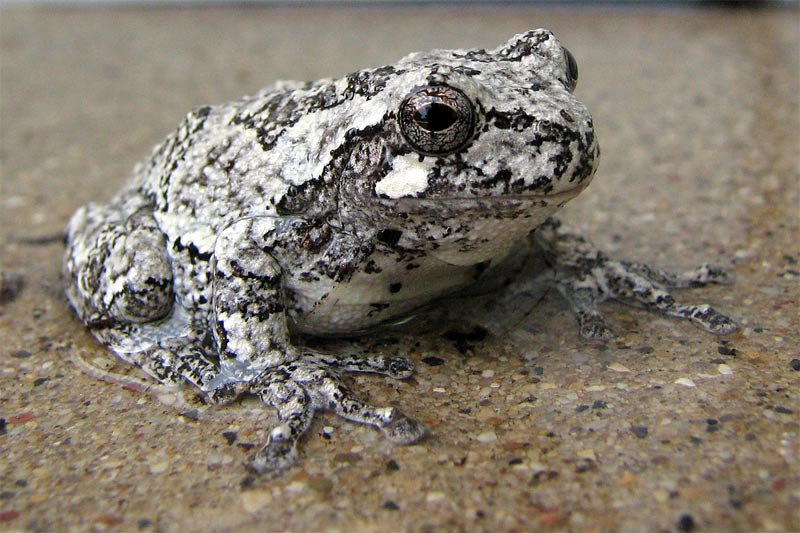 Photography by Momspc for DesignCrowd (Community Contests) | Design #9006306