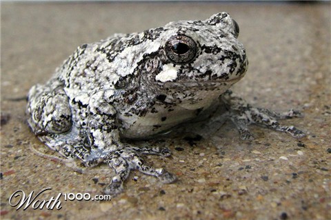 Photography by Momspc