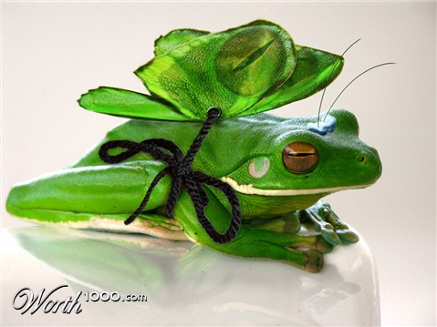 Photoshop Design by Jakndi