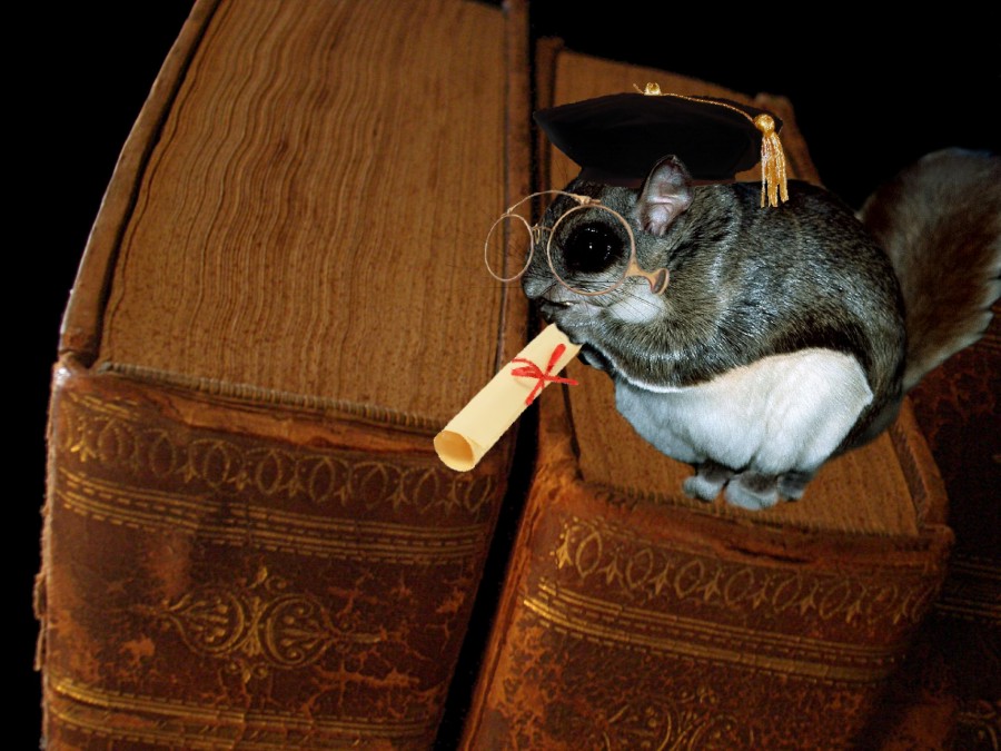 Photoshop Design by Fishwife for DesignCrowd (Community Contests) | Design #9004894