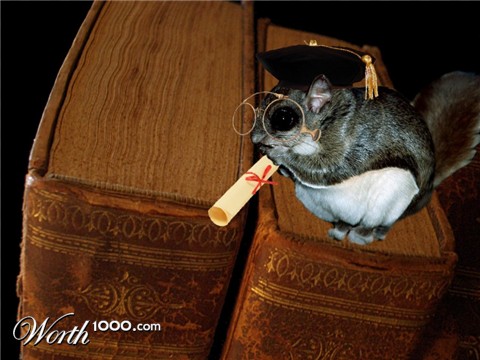 Photoshop Design by Fishwife