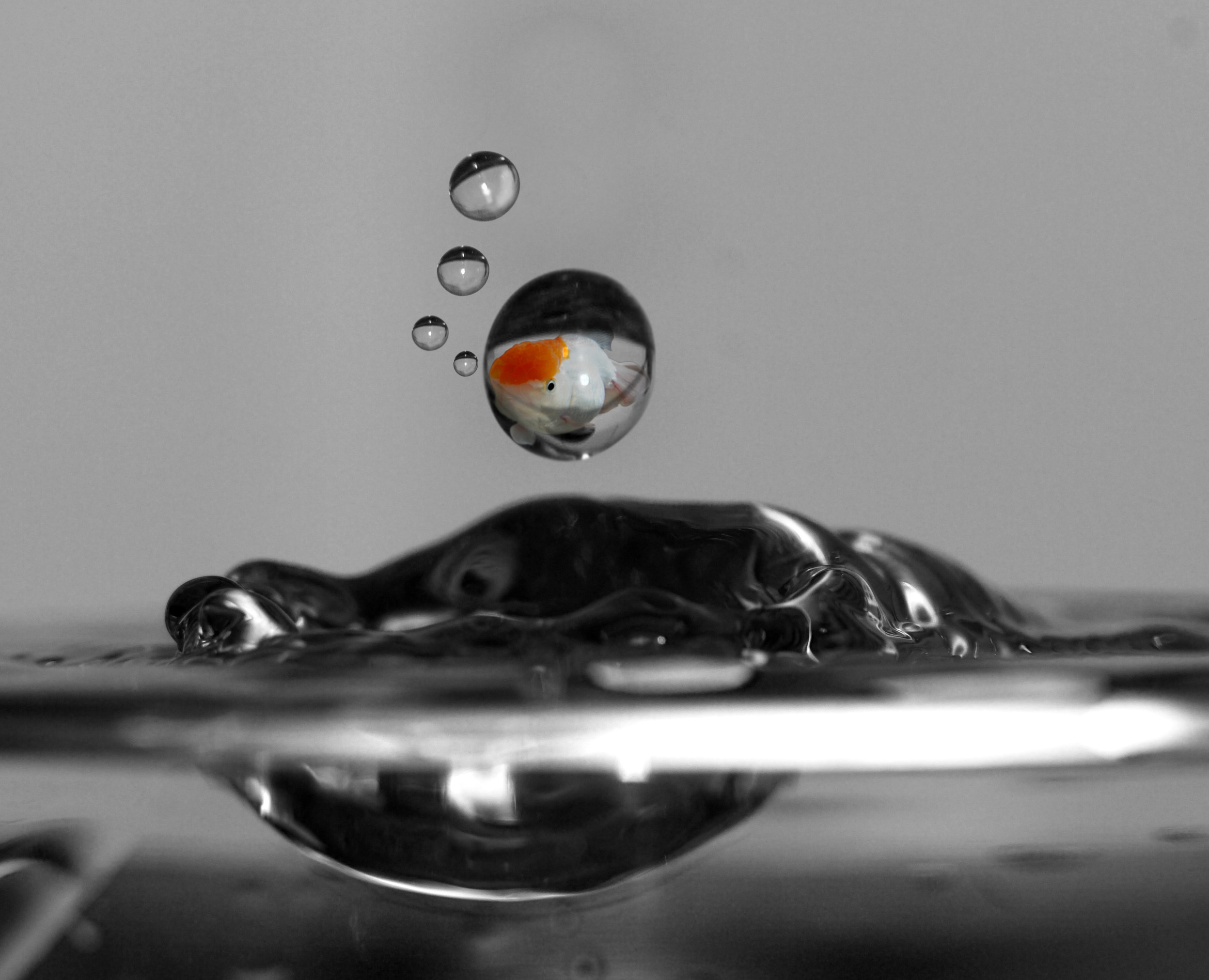 Photoshop Design by visavision for DesignCrowd (Community Contests) | Design #9011547