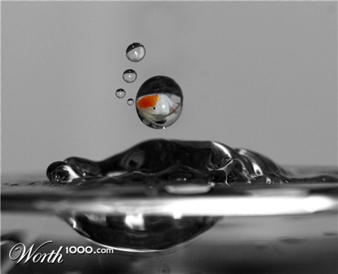 Photoshop Design by visavision