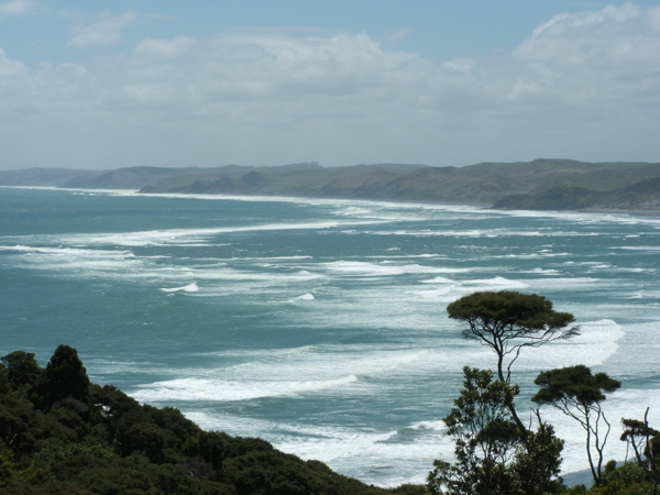 Photographie par nzkiwi pour DesignCrowd (Community Contests) | Design #9003862