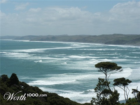 Photography by nzkiwi