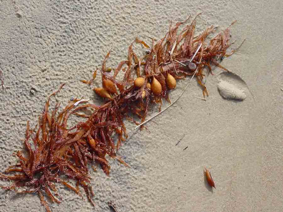 Photography by potters for DesignCrowd (Community Contests) | Design #9007711