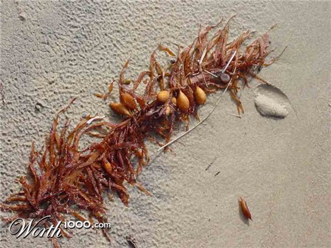 Photography by potters