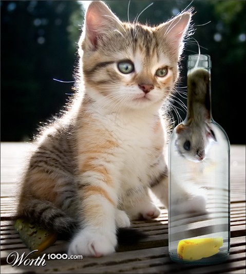 Photoshop Design by fooentes