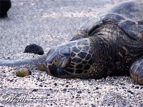 Photography by drewciferpics